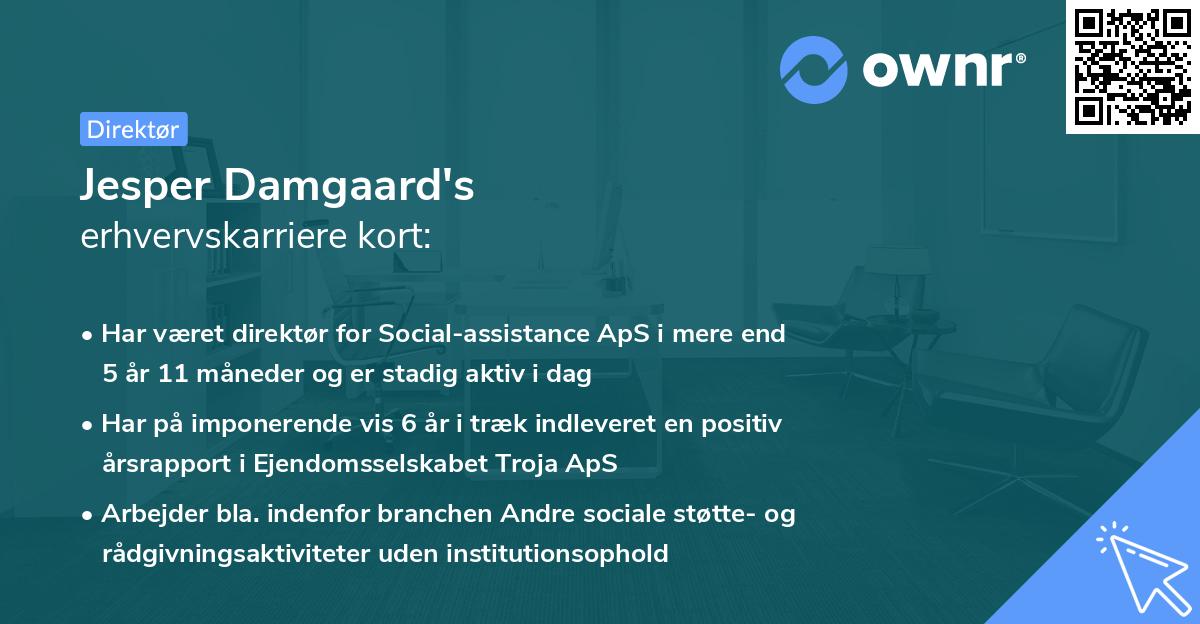 Jesper Damgaard's erhvervskarriere kort