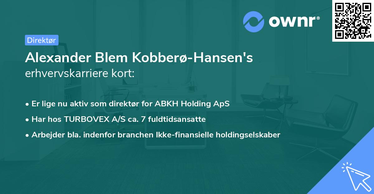 Alexander Blem Kobberø-Hansen's erhvervskarriere kort