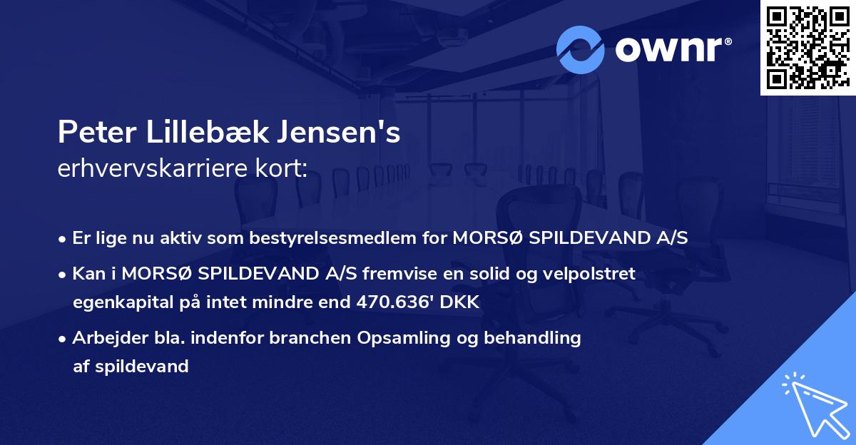 Peter Lillebæk Jensen's erhvervskarriere kort