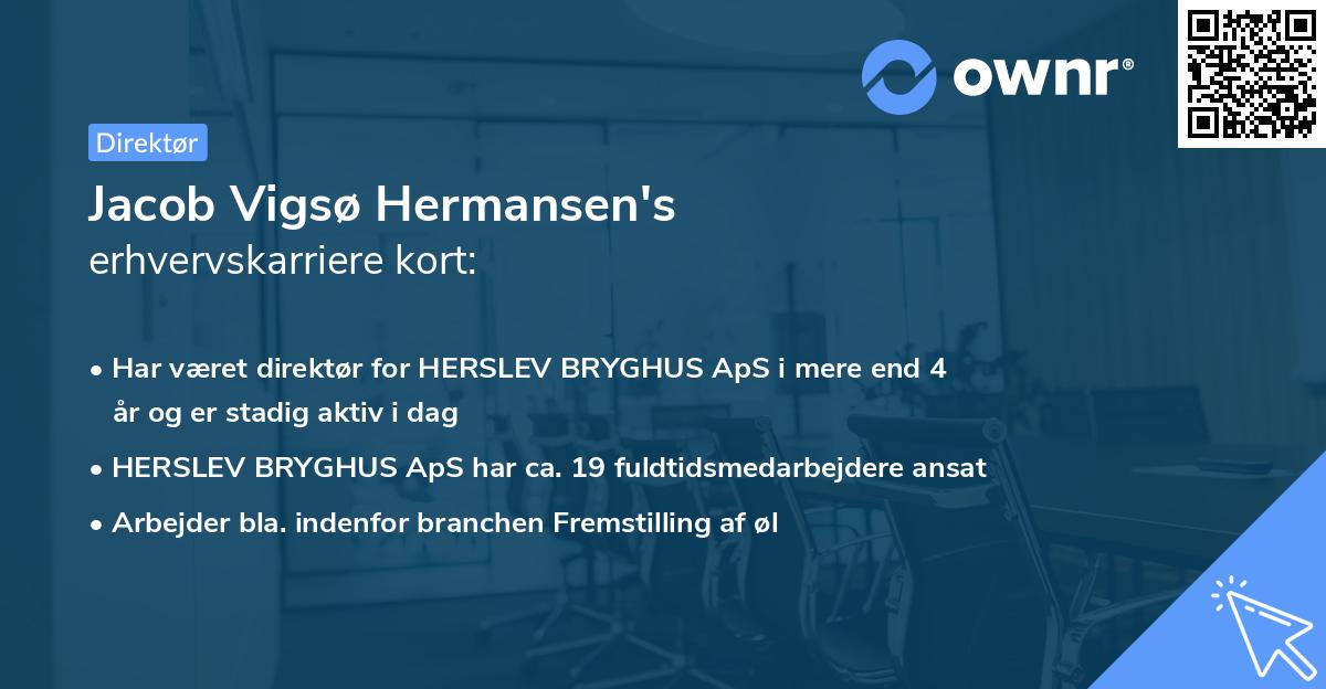 Jacob Vigsø Hermansen's erhvervskarriere kort