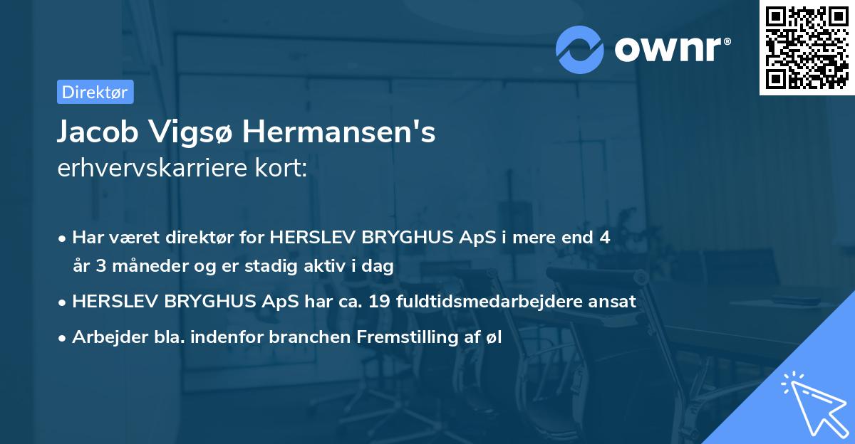 Jacob Vigsø Hermansen's erhvervskarriere kort