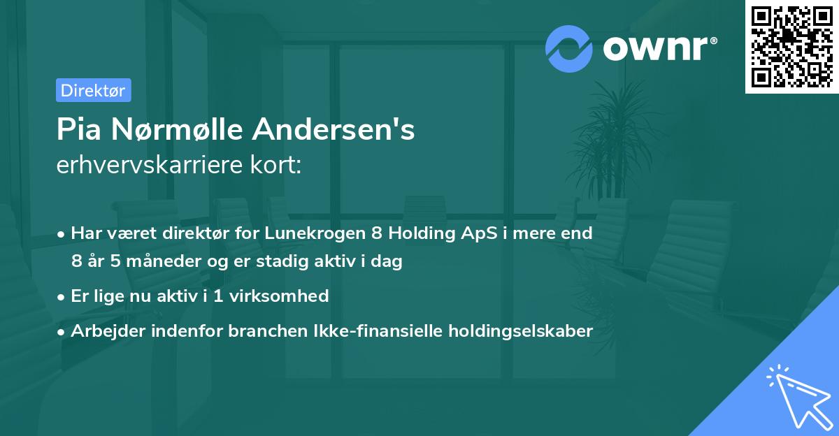 Pia Nørmølle Andersen's erhvervskarriere kort