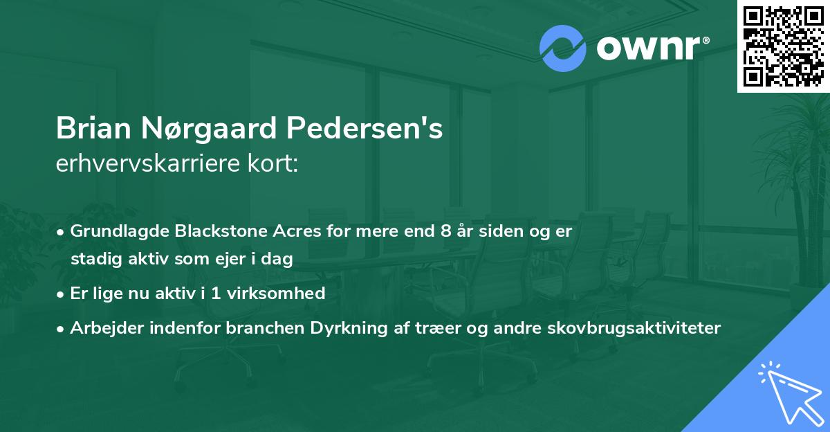 Brian Nørgaard Pedersen's erhvervskarriere kort