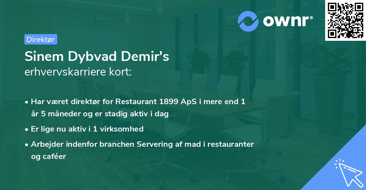 Sinem Dybvad Demir's erhvervskarriere kort