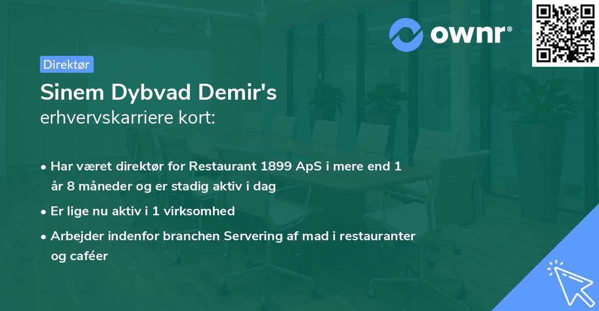 Sinem Dybvad Demir's erhvervskarriere kort