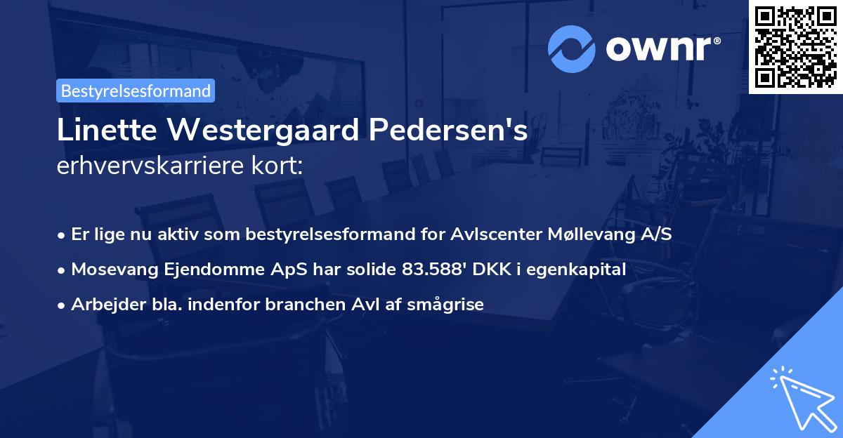 Linette Westergaard Pedersen's erhvervskarriere kort