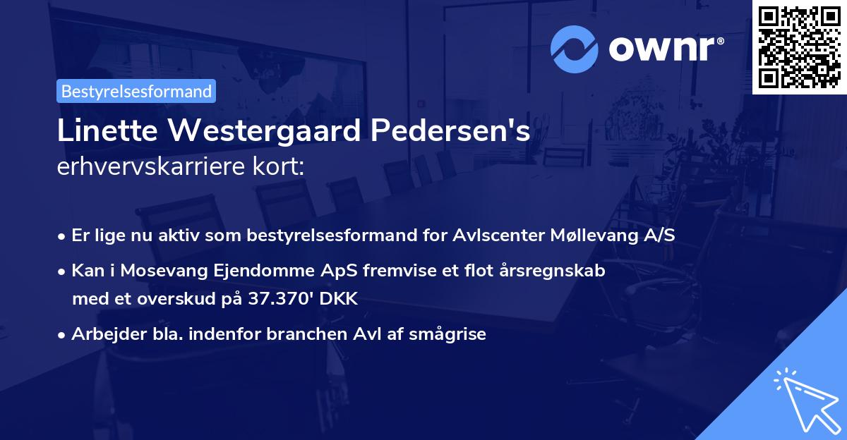 Linette Westergaard Pedersen's erhvervskarriere kort