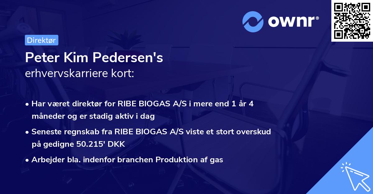 Peter Kim Pedersen's erhvervskarriere kort
