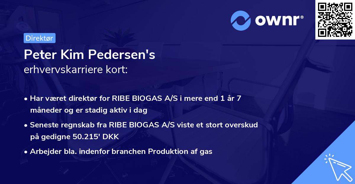 Peter Kim Pedersen's erhvervskarriere kort