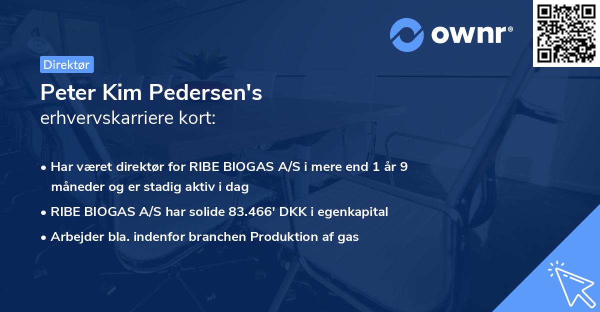 Peter Kim Pedersen's erhvervskarriere kort