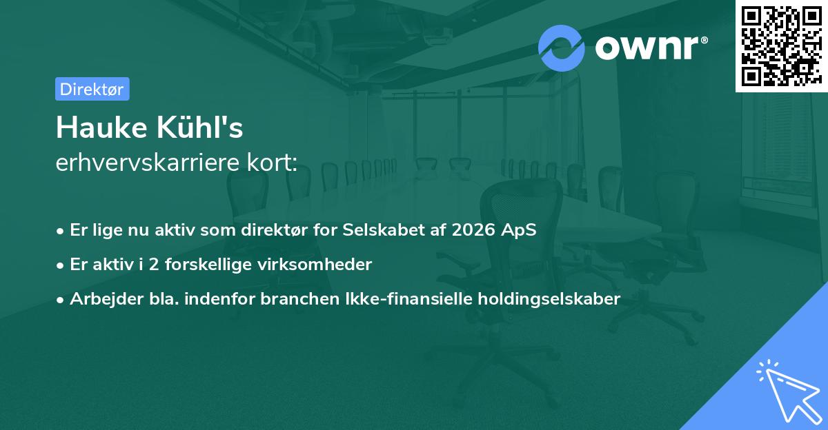 Hauke Kühl's erhvervskarriere kort