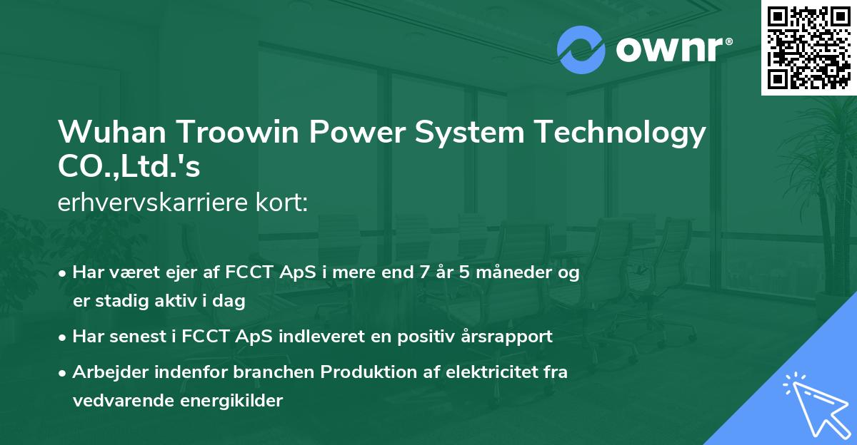 Wuhan Troowin Power System Technology CO.,Ltd.'s erhvervskarriere kort