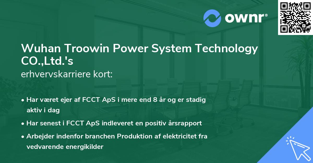 Wuhan Troowin Power System Technology CO.,Ltd.'s erhvervskarriere kort