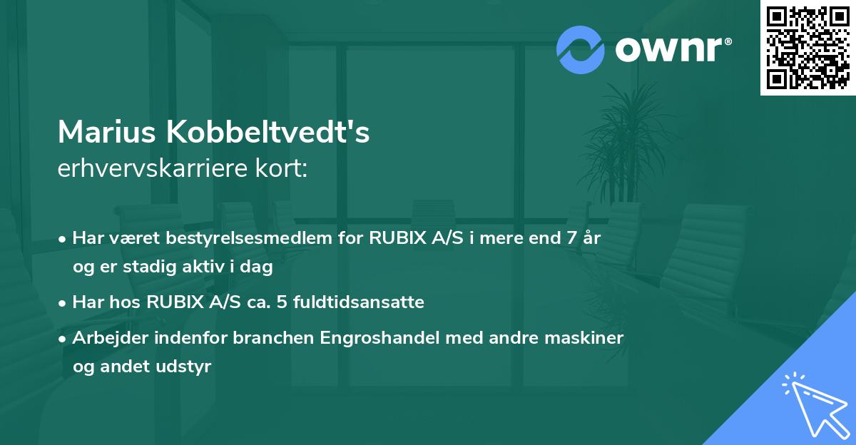 Marius Kobbeltvedt's erhvervskarriere kort