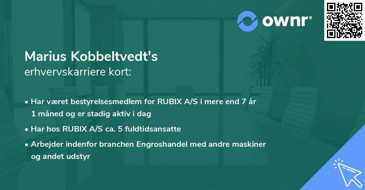Marius Kobbeltvedt's erhvervskarriere kort