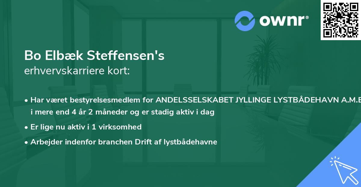 Bo Elbæk Steffensen's erhvervskarriere kort