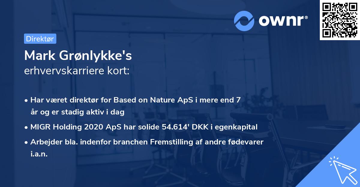 Mark Grønlykke's erhvervskarriere kort