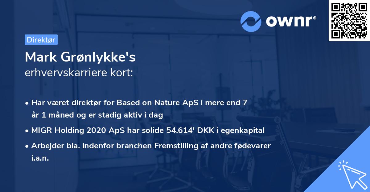Mark Grønlykke's erhvervskarriere kort