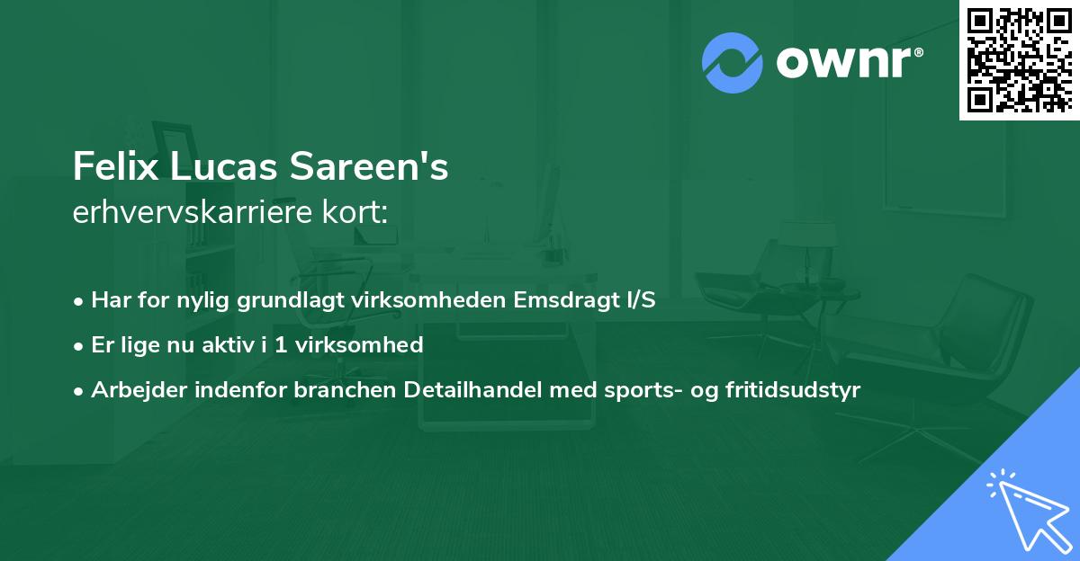 Felix Lucas Sareen's erhvervskarriere kort