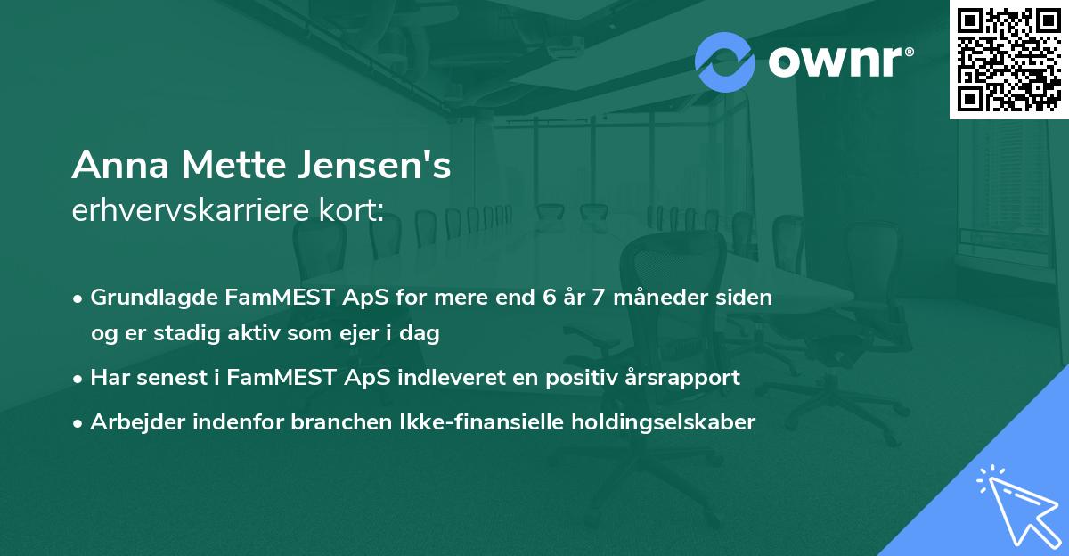Anna Mette Jensen's erhvervskarriere kort