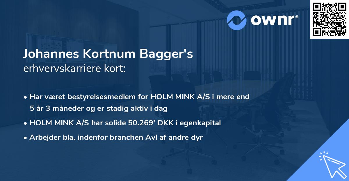 Johannes Kortnum Bagger's erhvervskarriere kort