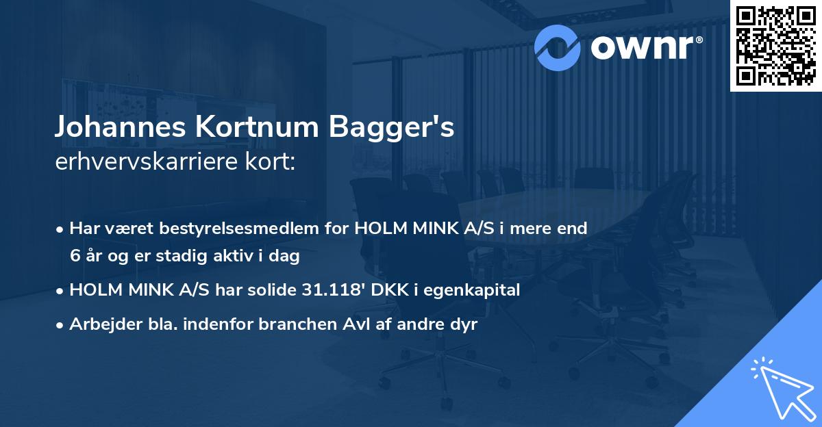 Johannes Kortnum Bagger's erhvervskarriere kort