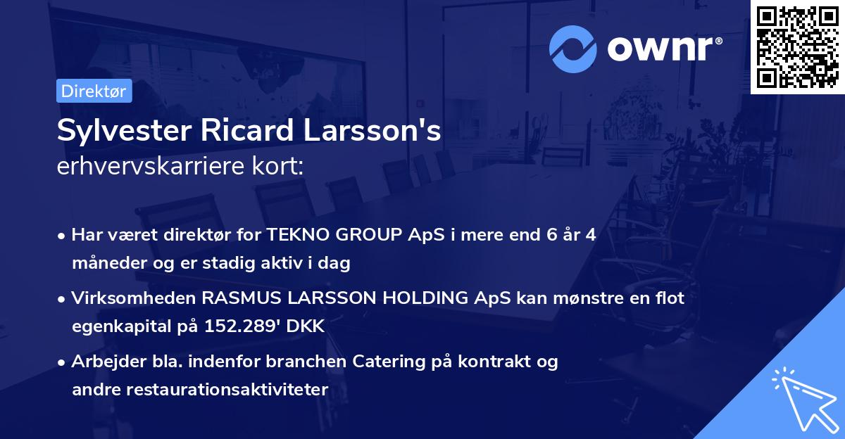 Sylvester Ricard Larsson's erhvervskarriere kort
