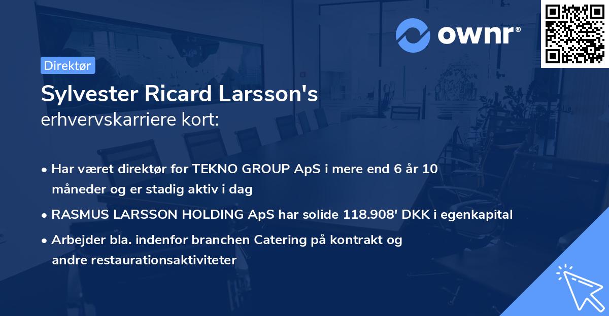 Sylvester Ricard Larsson's erhvervskarriere kort