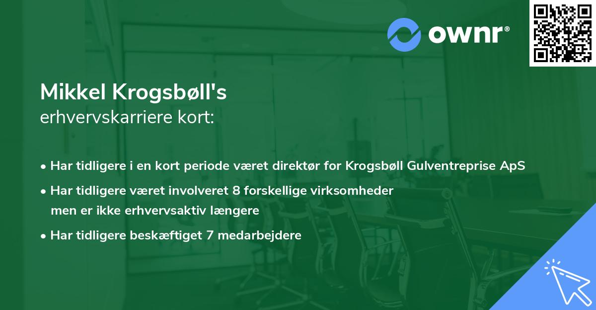 Mikkel Krogsbøll's erhvervskarriere kort