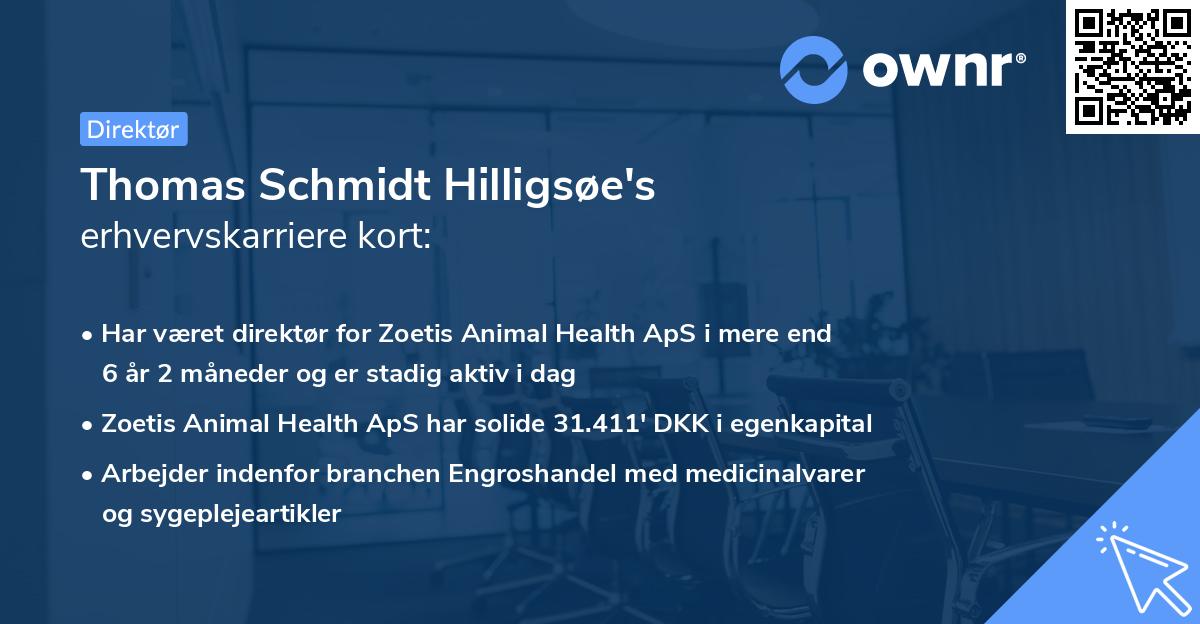 Thomas Schmidt Hilligsøe's erhvervskarriere kort
