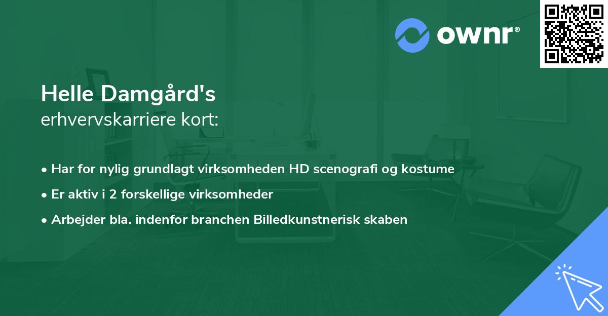 Helle Damgård's erhvervskarriere kort