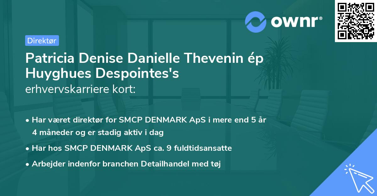 Patricia Denise Danielle Thevenin ép Huyghues Despointes's erhvervskarriere kort