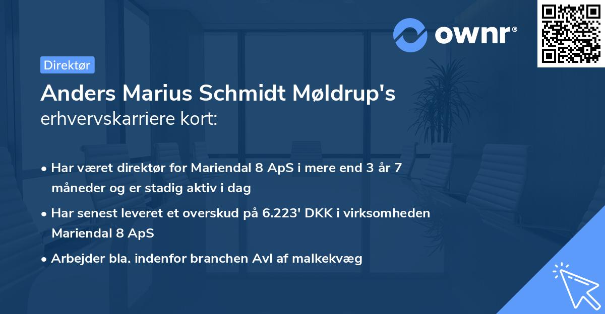 Anders Marius Schmidt Møldrup's erhvervskarriere kort