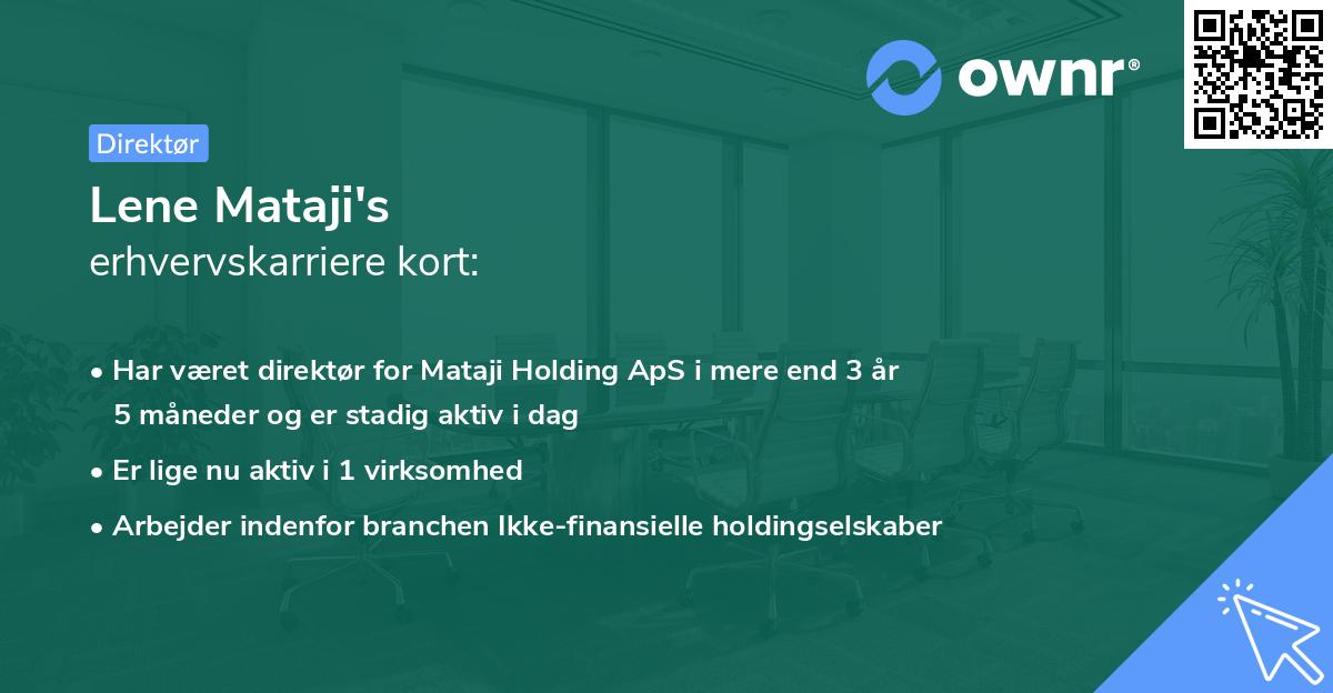 Lene Mataji's erhvervskarriere kort
