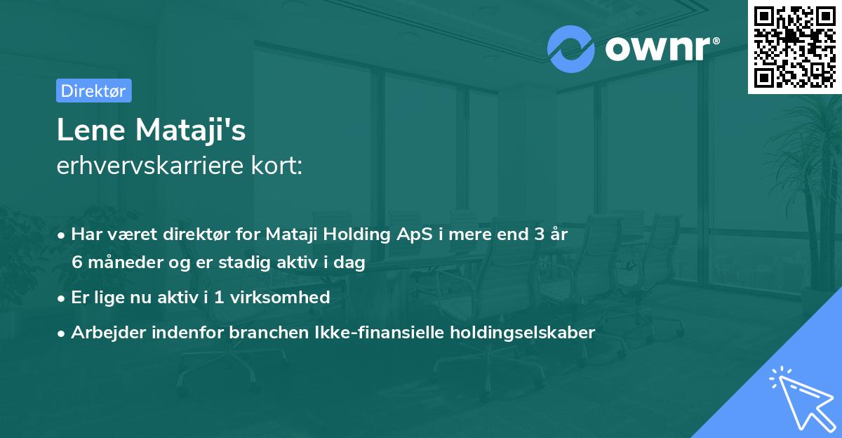 Lene Mataji's erhvervskarriere kort