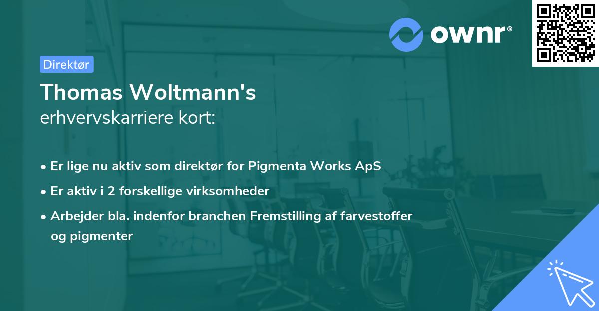 Thomas Woltmann's erhvervskarriere kort