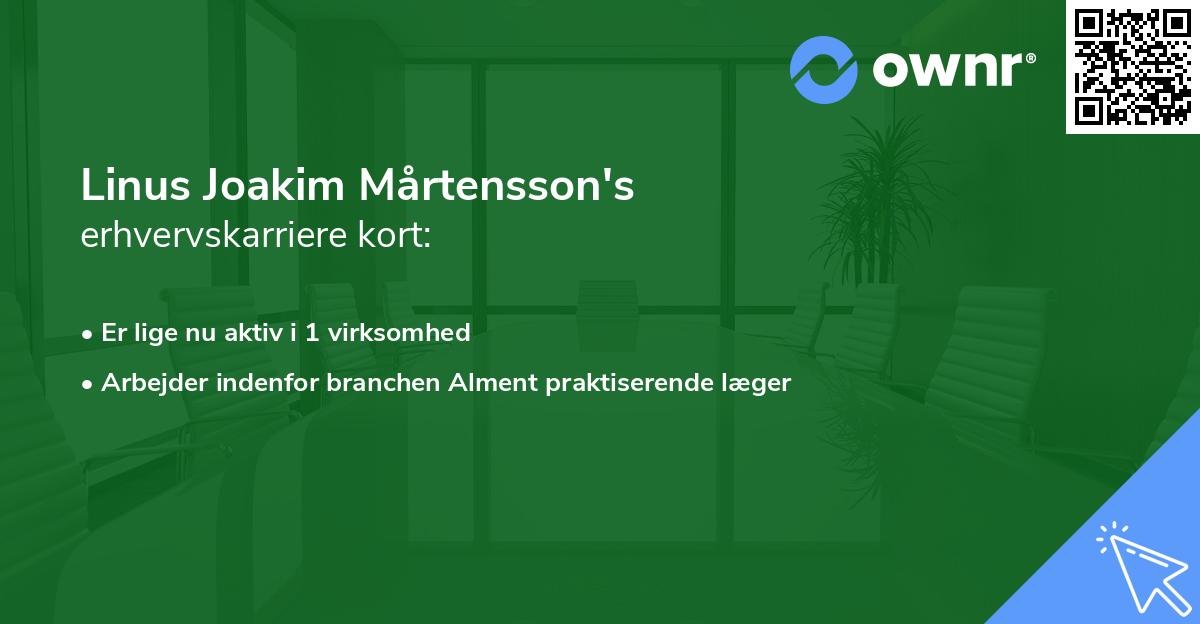 Linus Joakim Mårtensson's erhvervskarriere kort