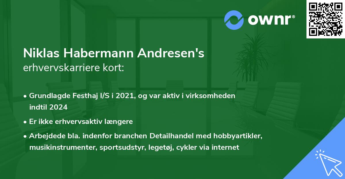 Niklas Habermann Andresen's erhvervskarriere kort