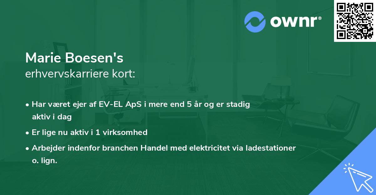 Marie Boesen's erhvervskarriere kort