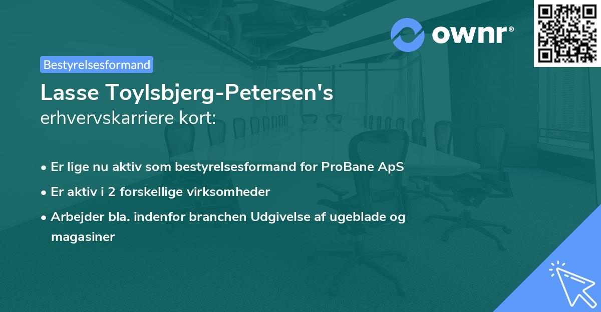 Lasse Toylsbjerg-Petersen's erhvervskarriere kort