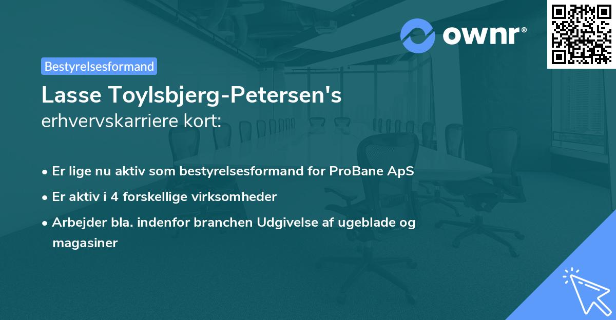 Lasse Toylsbjerg-Petersen's erhvervskarriere kort