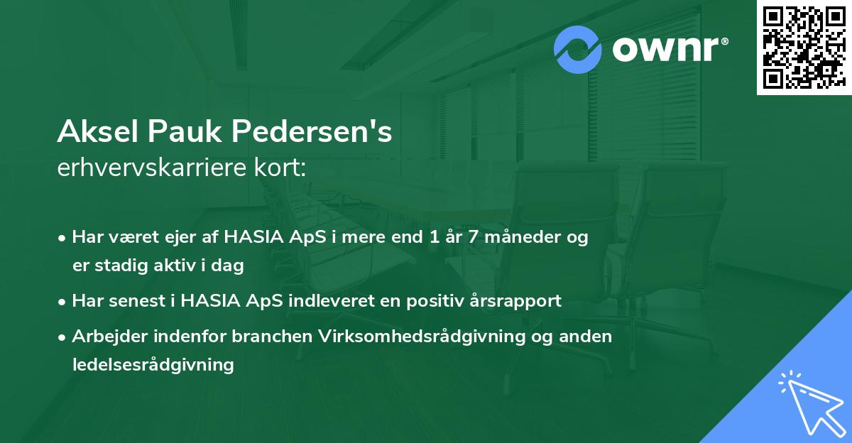 Aksel Pauk Pedersen's erhvervskarriere kort