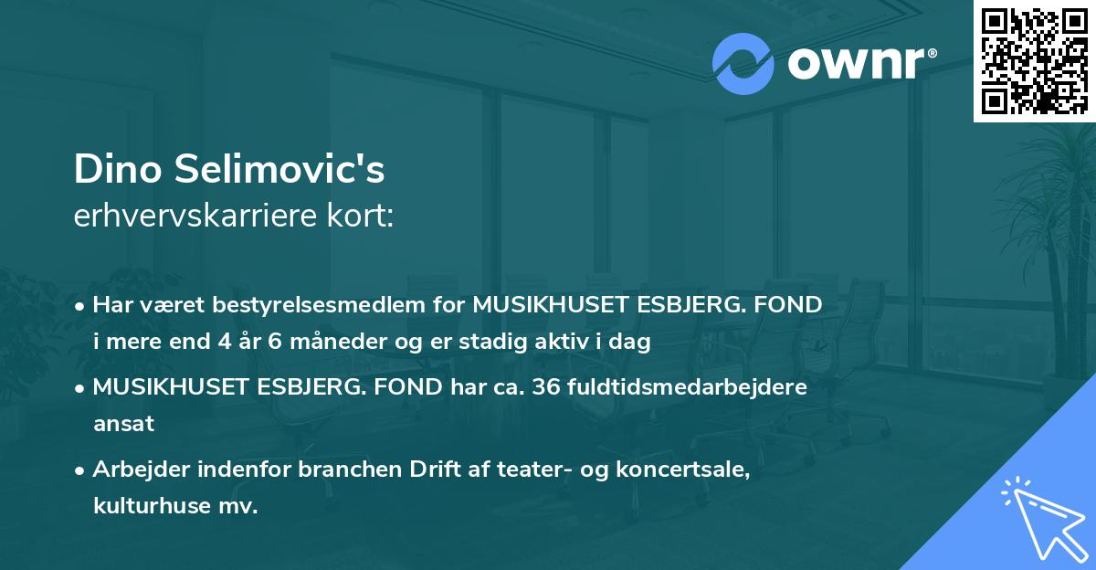 Dino Selimovic's erhvervskarriere kort