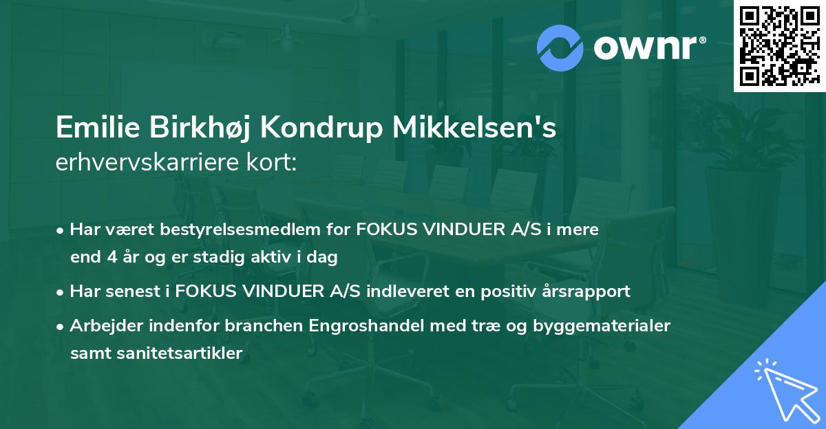 Emilie Birkhøj Kondrup Mikkelsen's erhvervskarriere kort