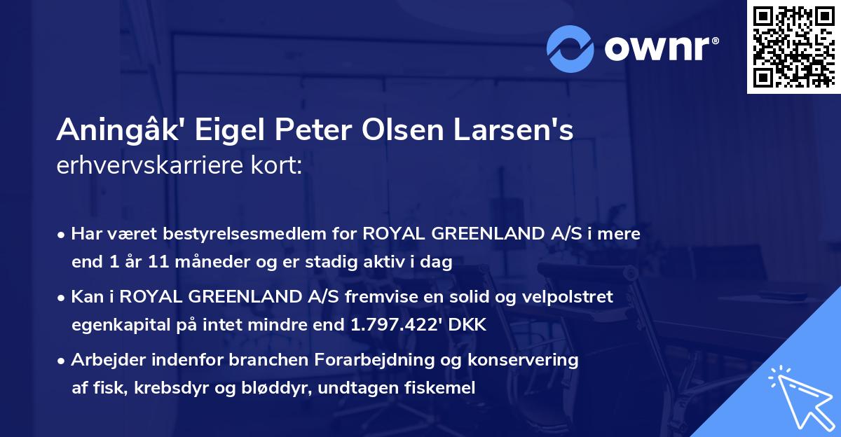 Aningâk' Eigel Peter Olsen Larsen's erhvervskarriere kort