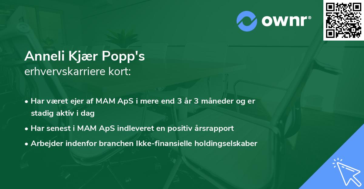 Anneli Kjær Popp's erhvervskarriere kort