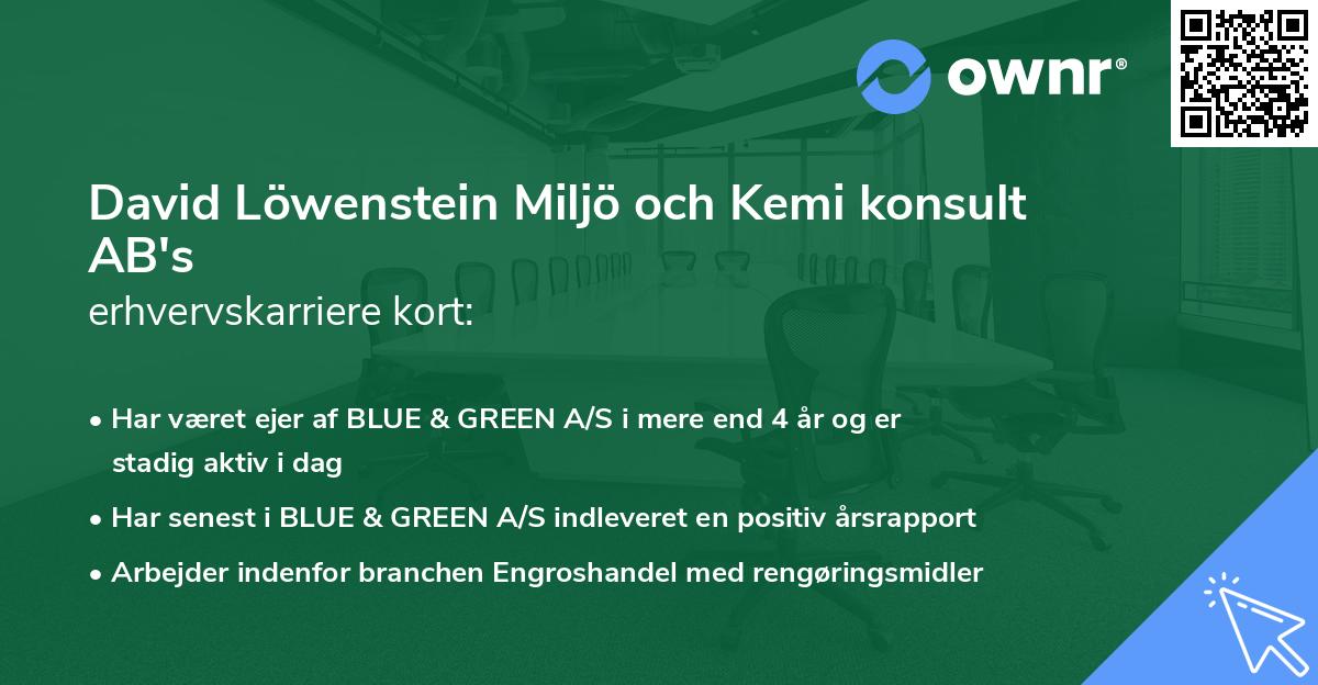 David Löwenstein Miljö och Kemi konsult AB's erhvervskarriere kort
