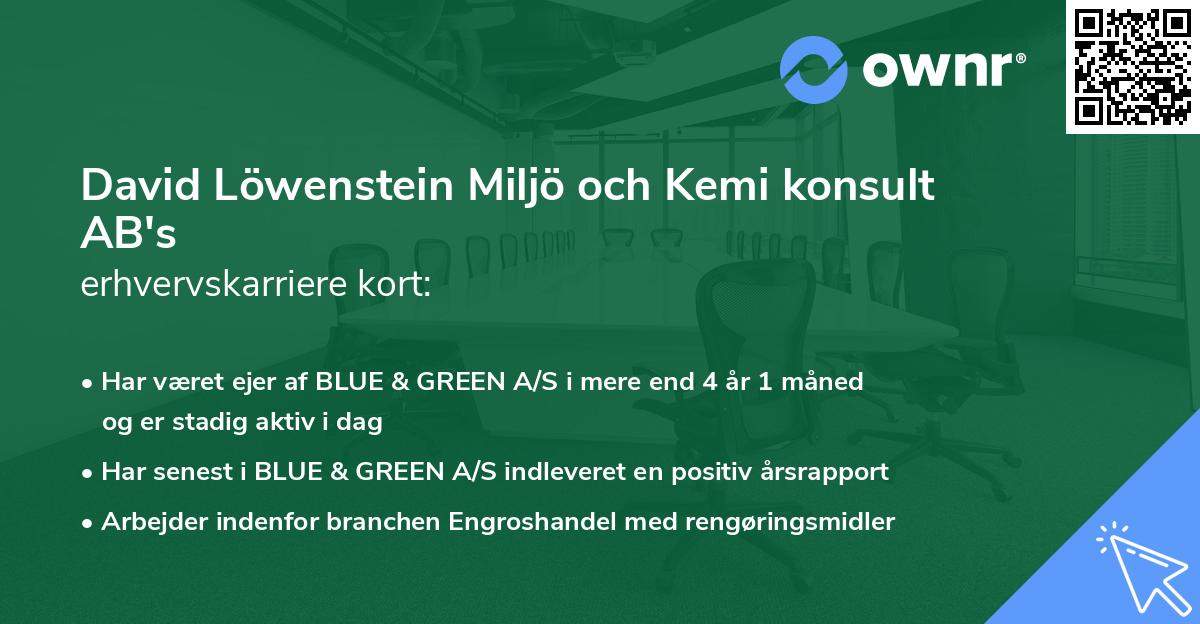David Löwenstein Miljö och Kemi konsult AB's erhvervskarriere kort