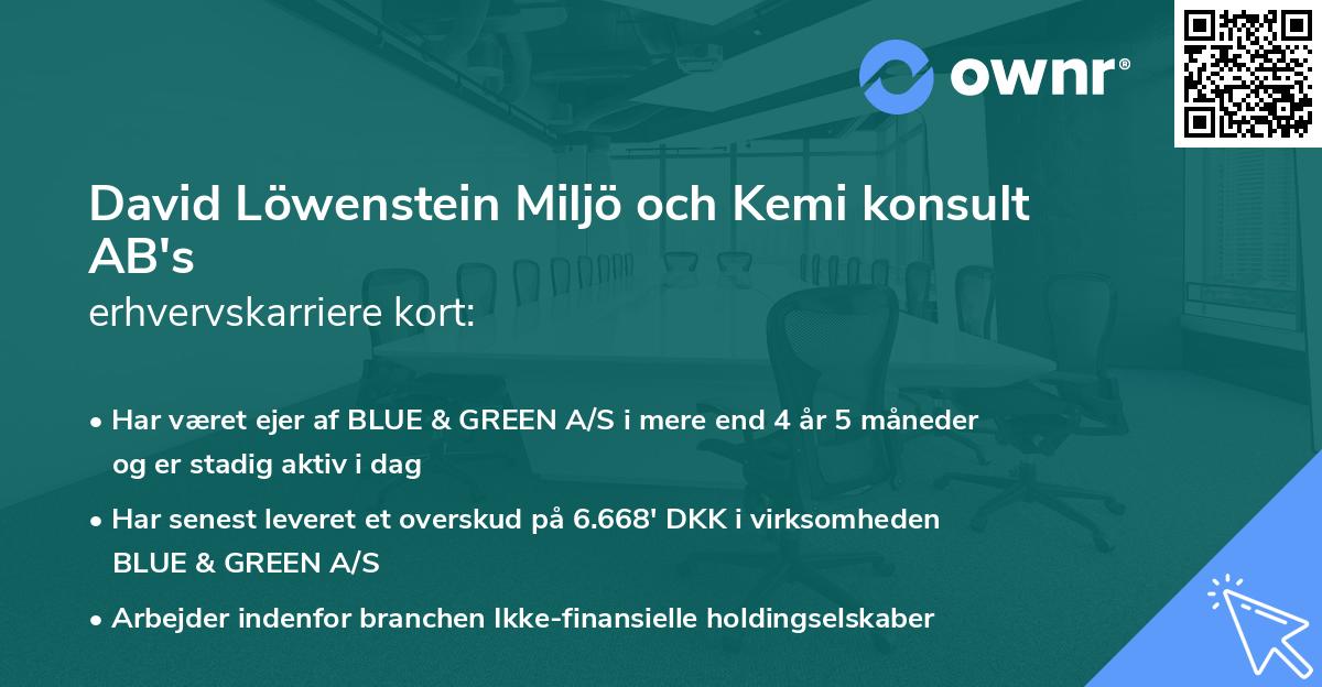 David Löwenstein Miljö och Kemi konsult AB's erhvervskarriere kort