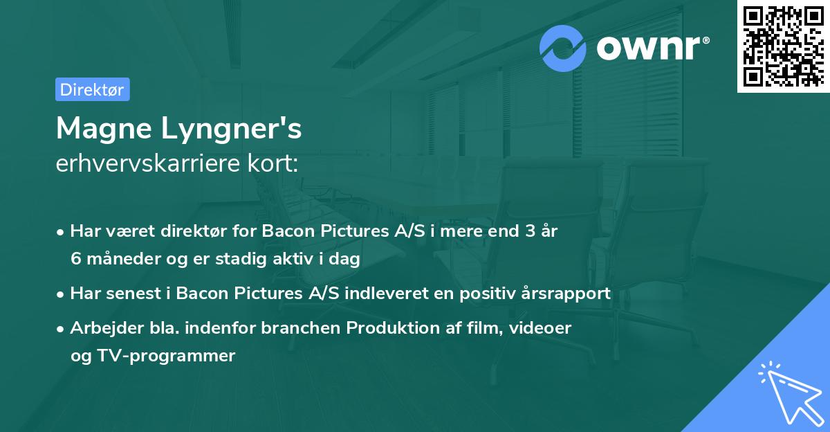 Magne Lyngner's erhvervskarriere kort